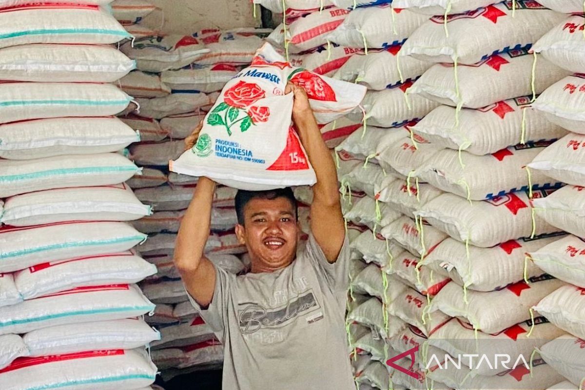 Bapanas: Harga beras mulai turun jadi Rp14.000 per kilogram