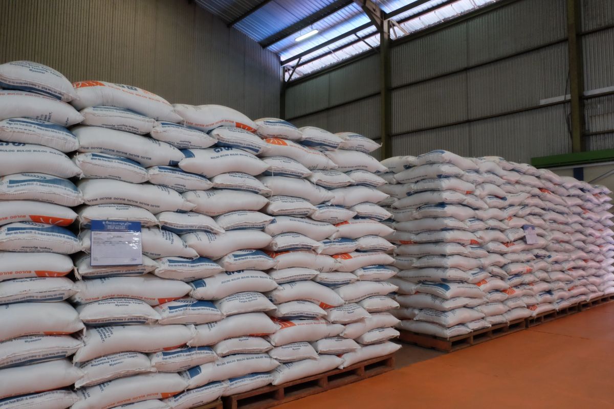 Tambahan 300 ribu ton beras Thailand dan Pakistan perkuat stok pangan nasional