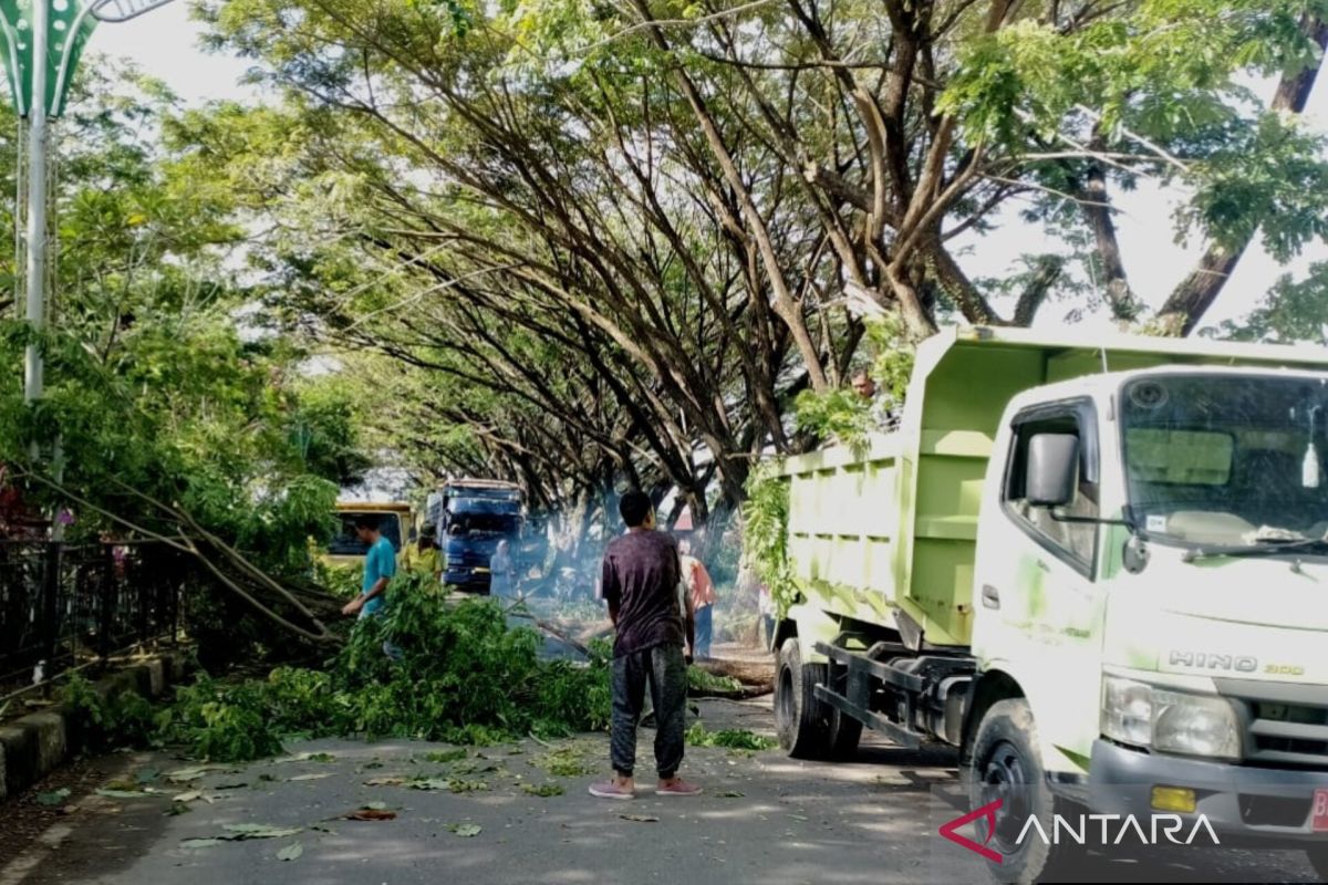 Sambut Ramadan, Bupati Abdya Instruksikan Pembersihan Badan Jalan