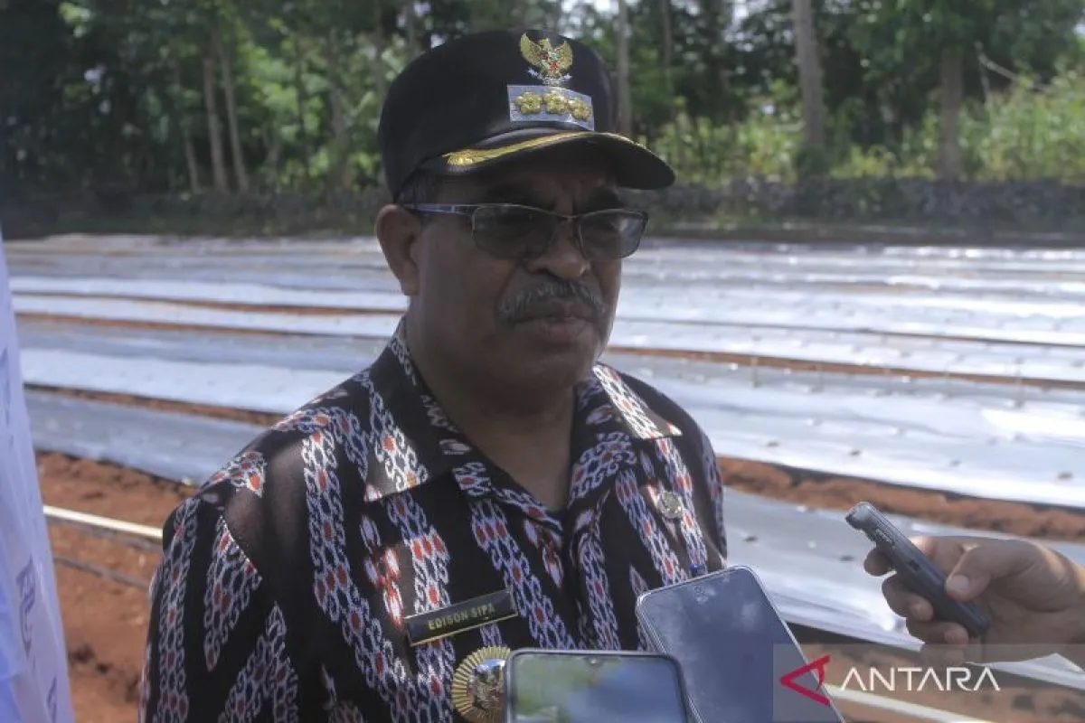 Pemkab TTS imbau petani tanam tanaman berumur pendek