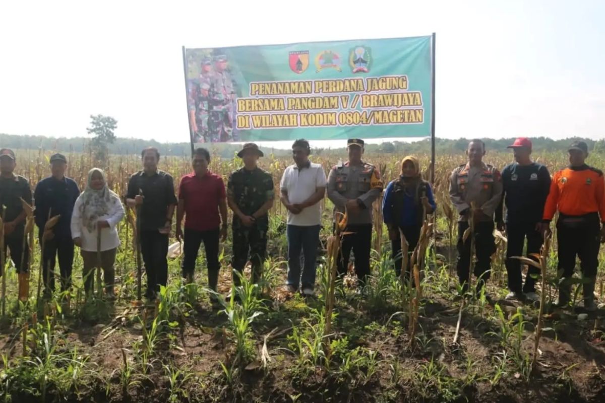 Kodim Magetan bantu tanam jagung optimalkan ketahanan pangan