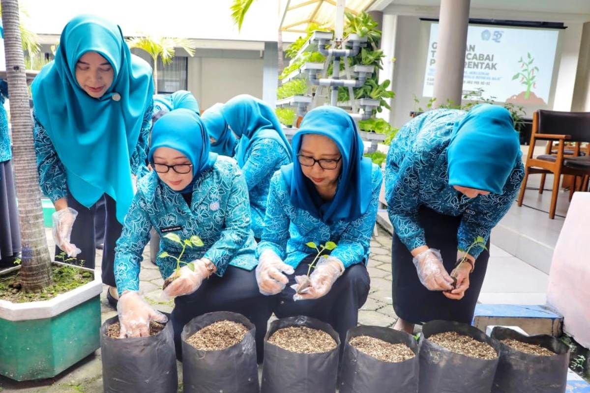 PKK Jatim imbau tanam cabai di pekarangan rumah