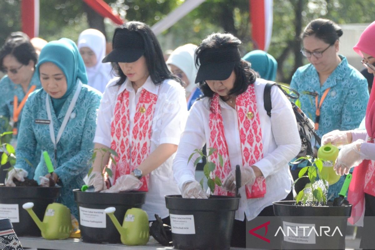 TP PKK Bogor imbau warga tanam cabai di pekarangan rumah