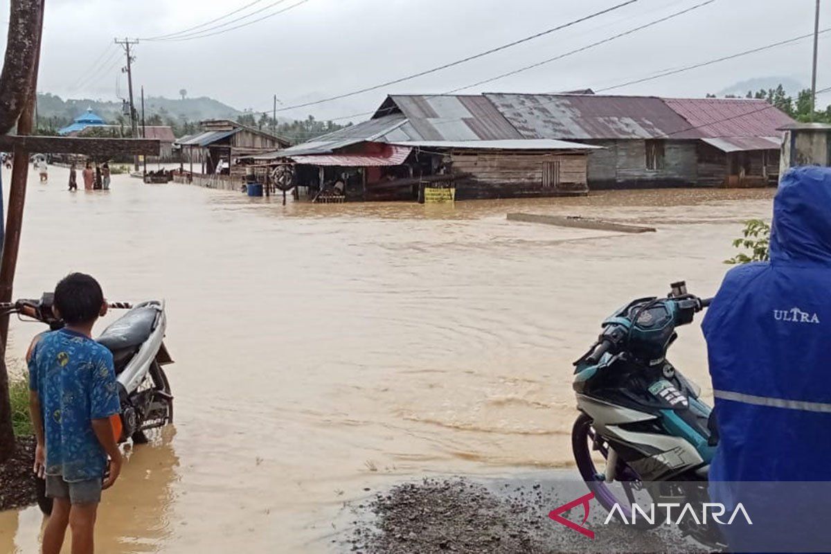 BPBD Sulteng: Empat kecamatan di Kabupaten Buol terendam banjir