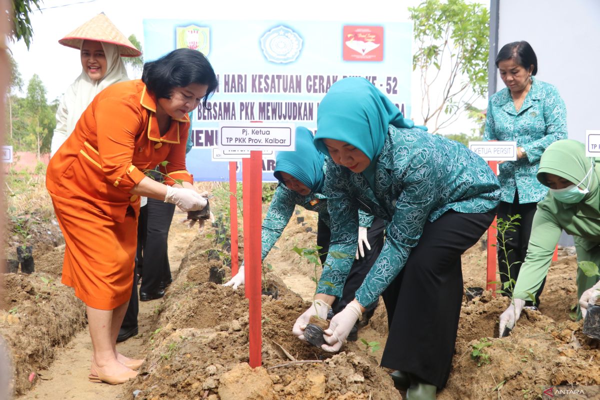 TP PKK Kalbar sukseskan gerakan menanam cabai serentak