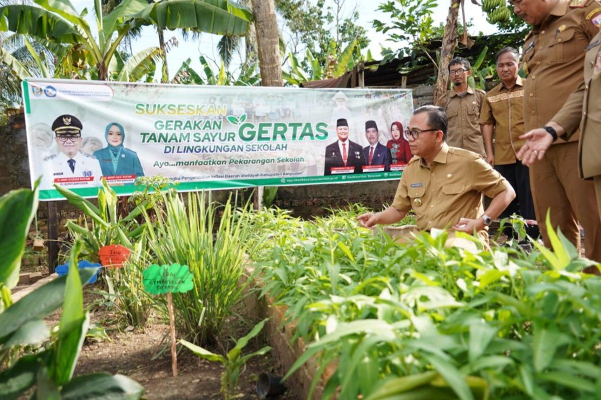 Gerakan Tanam Sayur di Banyuasin libatkan guru dan pelajar