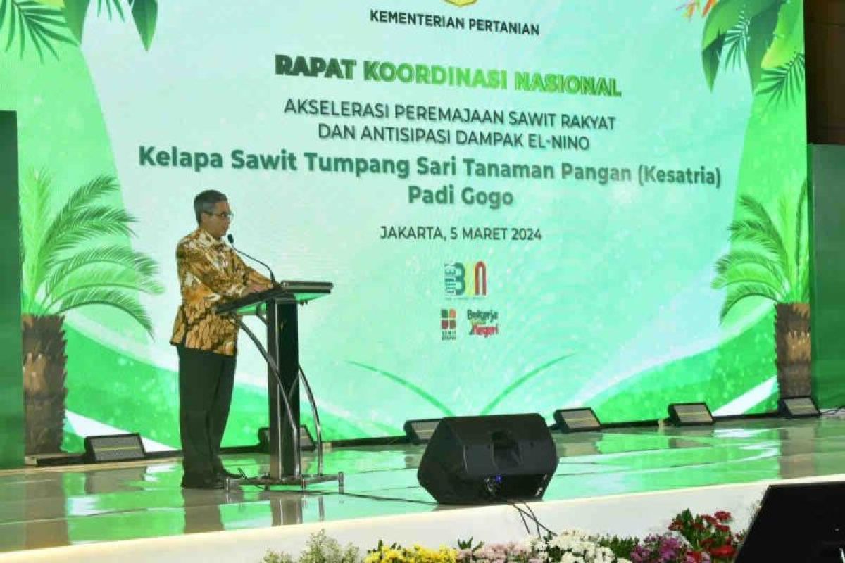 Kementan targetkan pertanaman tumpang sari padi gogo 500 ribu hektare