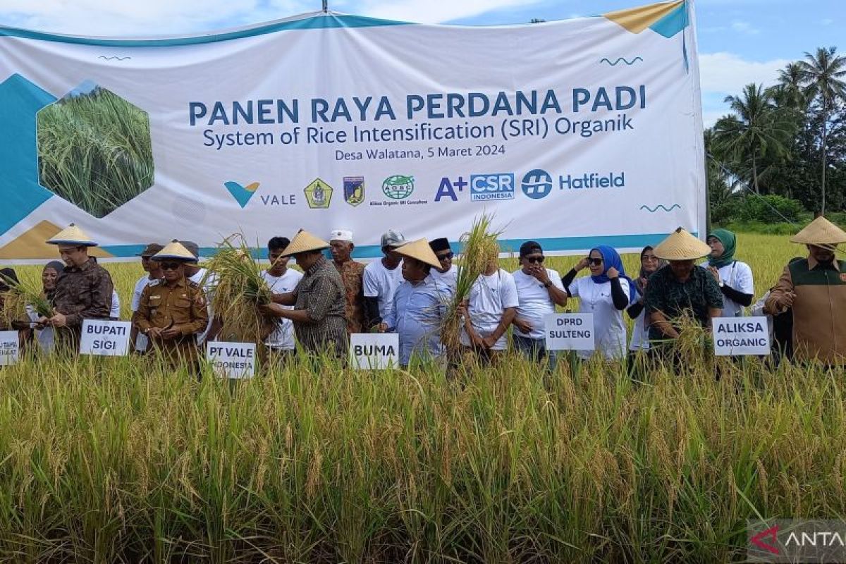 Pemkab Sigi siapkan desa jadi kampung organik penghasil beras