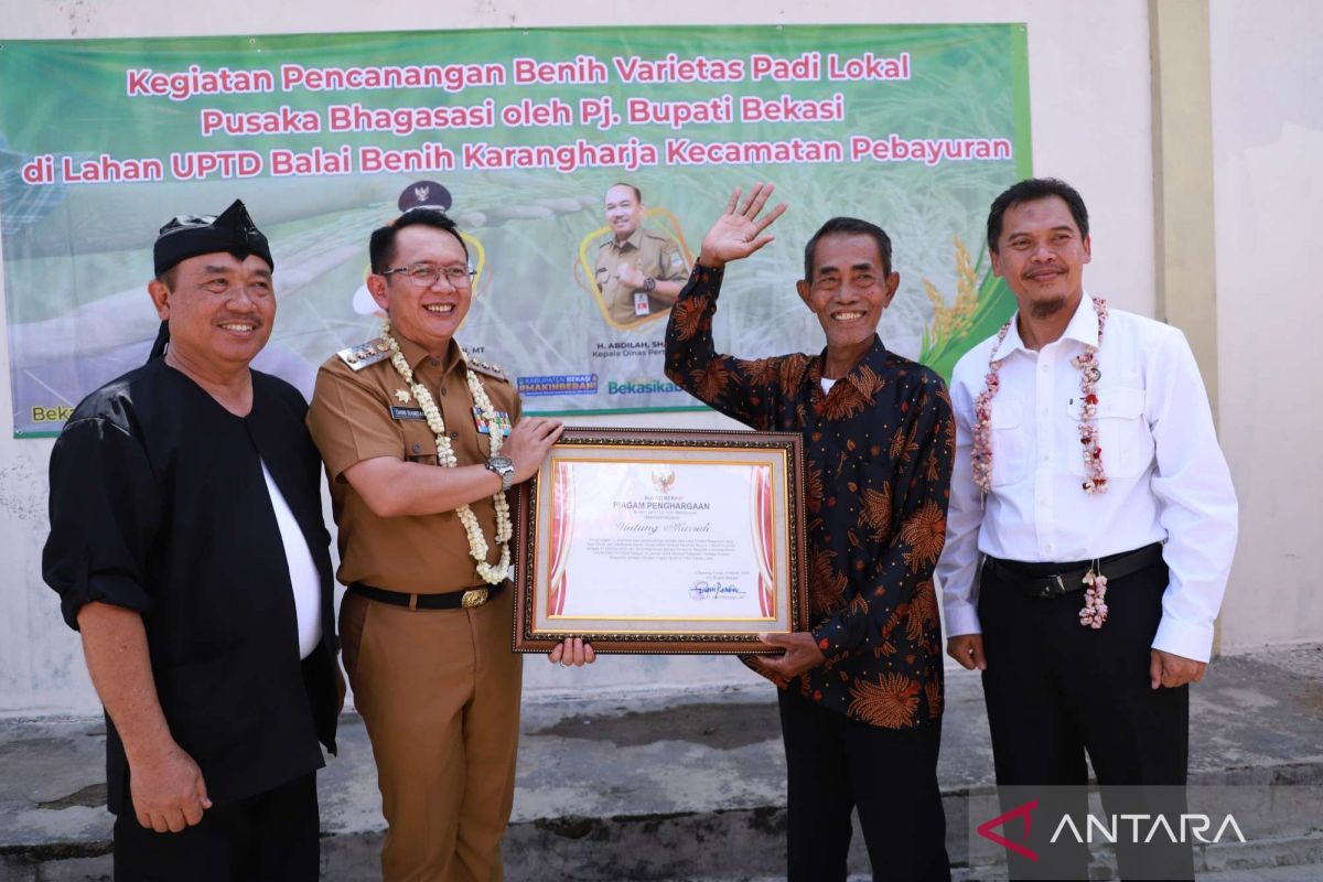 Pemkab Bekasi beri penghargaan penemu benih Pusaka Bhagasasi