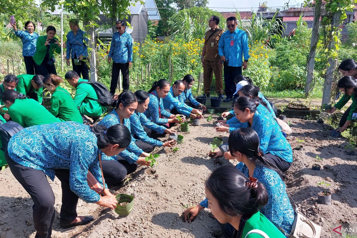 PKK Gianyar Bali taman 1.300 bibit cabai