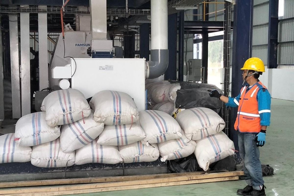 Disuplai Listrik PLN, Pabrik Jagung milik Pemprov Sumbar kini mampu produksi hingga 50 ton per hari