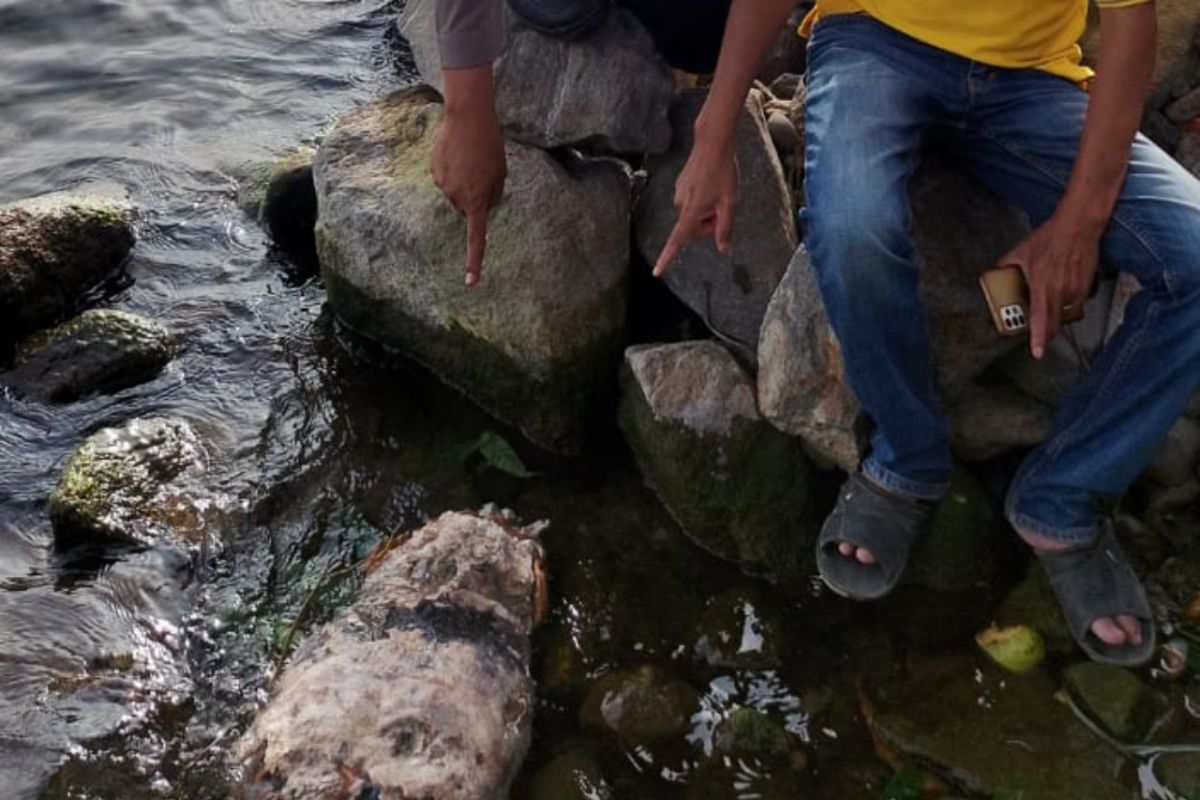 Pasang jaring ikan, nelayan di Danau Toba temukan kerangka manusia