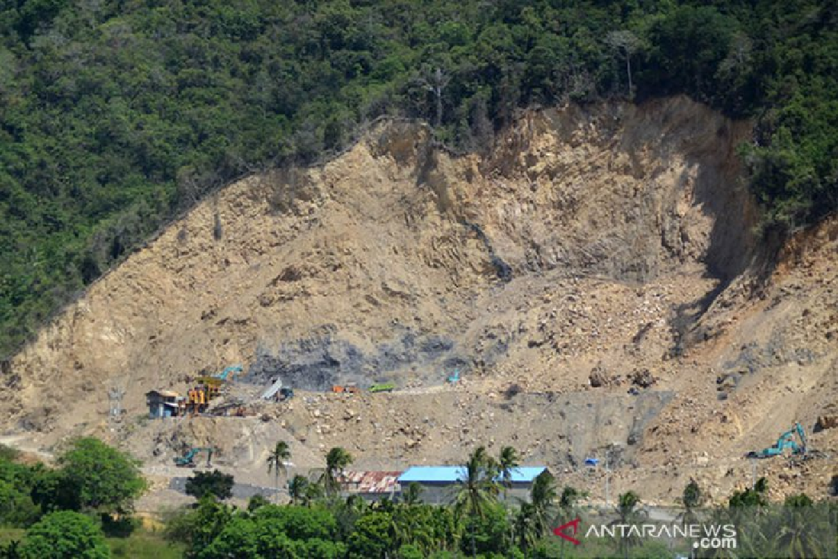 HAkA Foundation records decline in Aceh's deforestation rate