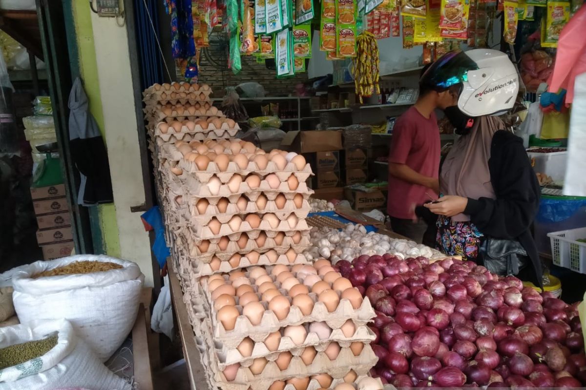 Harga telur ayam di Abdya capai Rp60 ribu per lemping