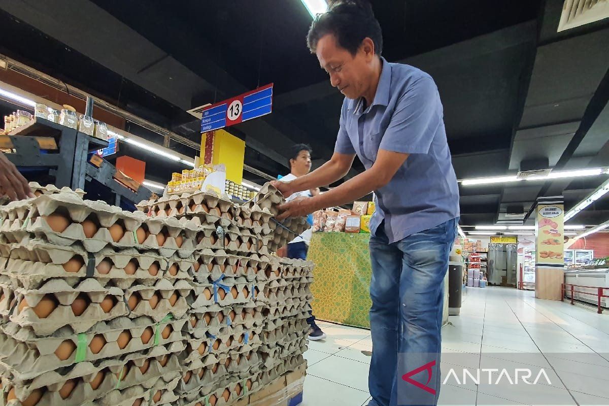 Pemprov Papua meningkatkan pengawasan telur ayam ras dari luar daerah