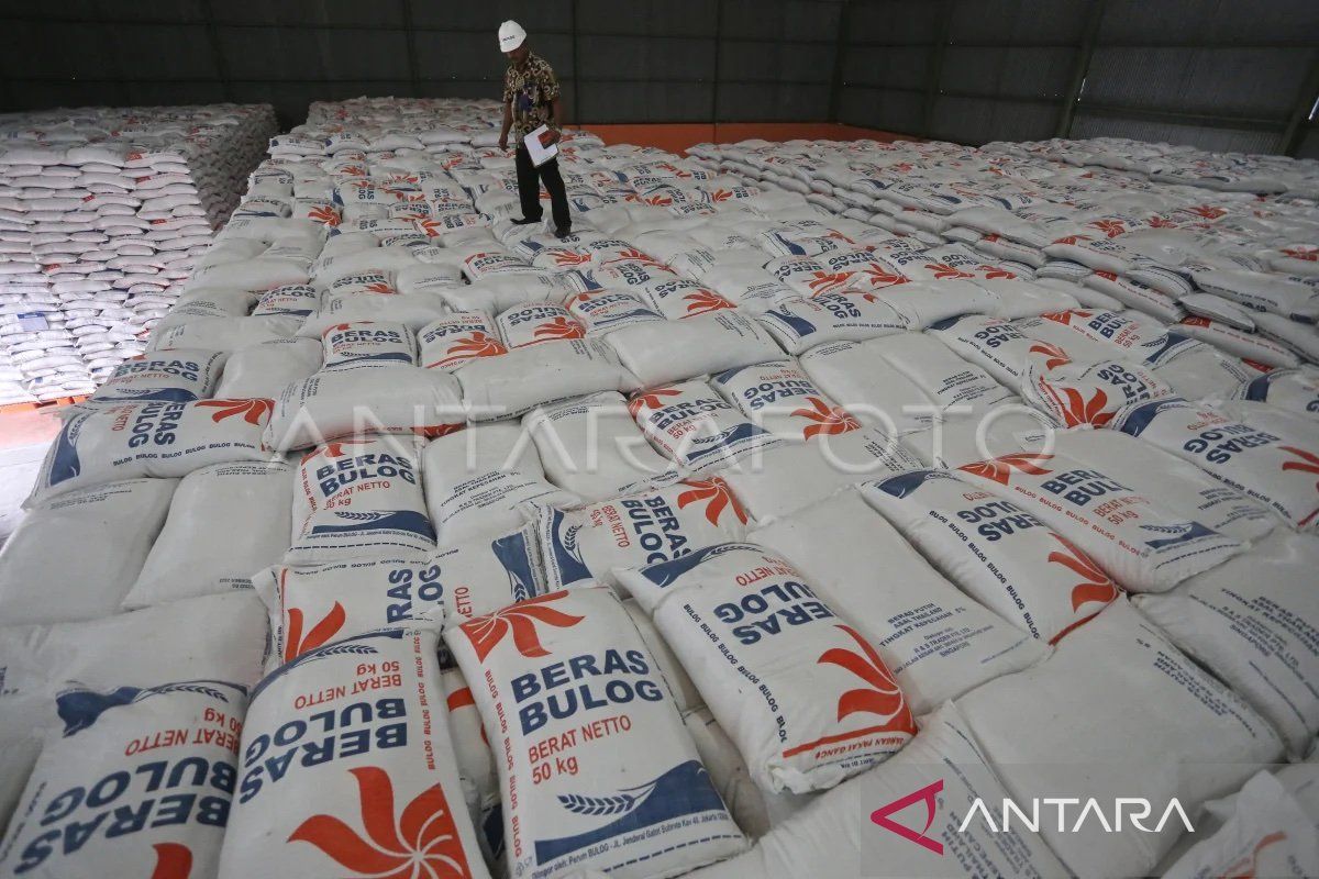 Rice stocks safe for Ramadan, Idul Fitri: Minister Sulaiman