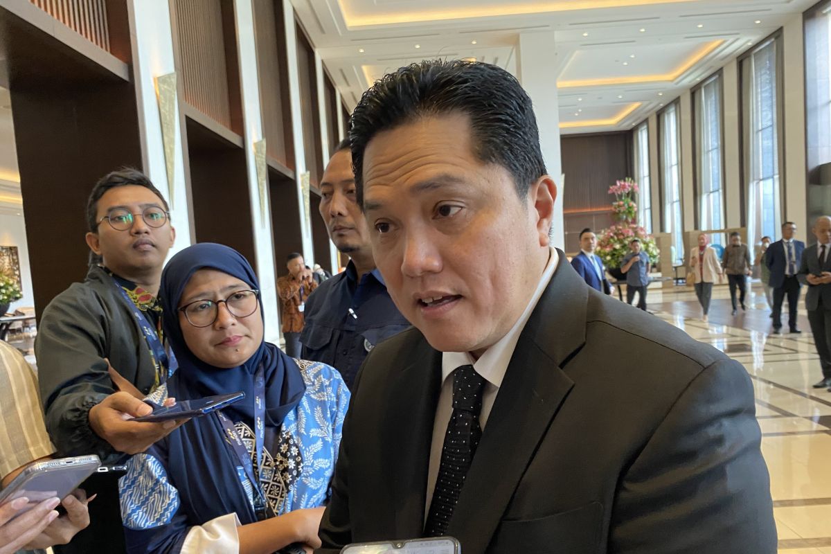 Erick Thohir ingin pangkas jumlah BUMN jadi hanya 30