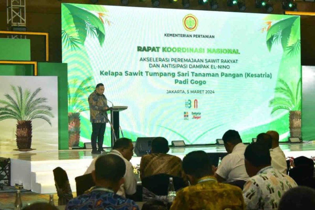 Kementan susun konsep Papua sebagai pulau energi terbarukan