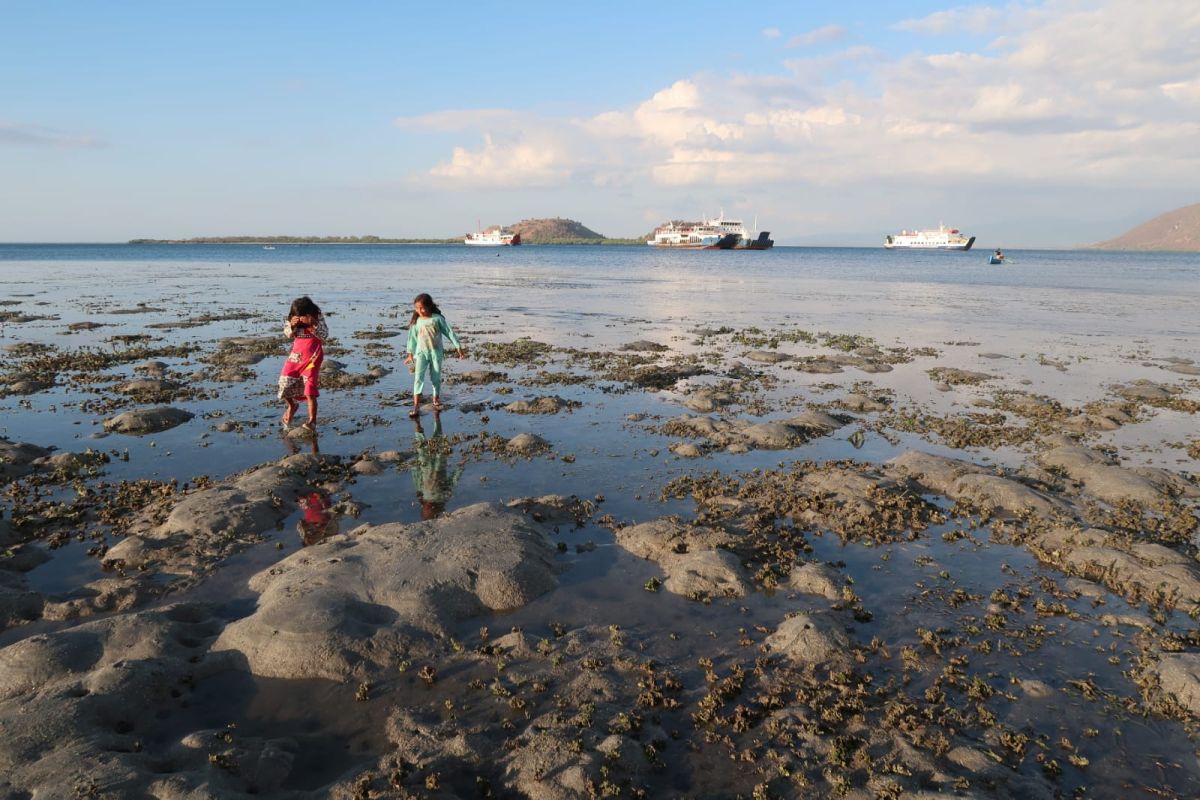 BRIN sebut masa depan Indonesia ada di laut