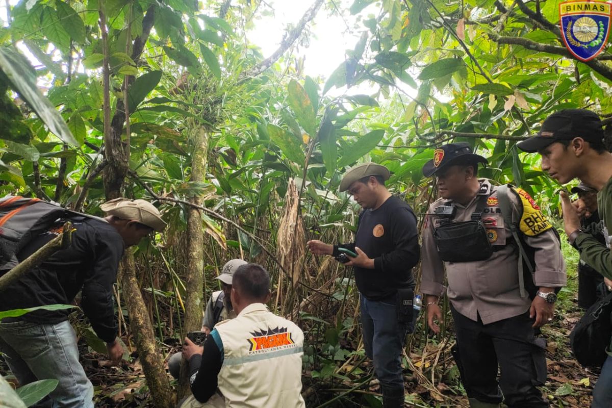 BKSDA Sumbar tangani dua konflik satwa liar di Agam