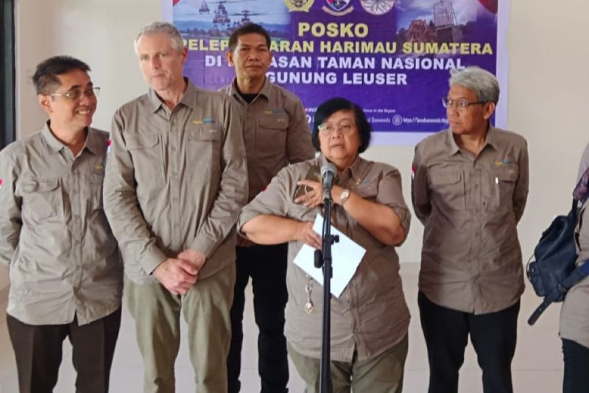 Menteri LHK: Lebih seribu ekor harimau sumatra ada di Pulau Sumatera