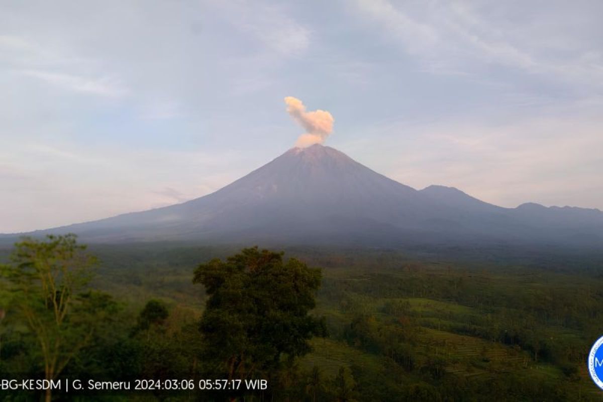 Gunung Semeru luncurkan abu vulkanik setinggi 800 m