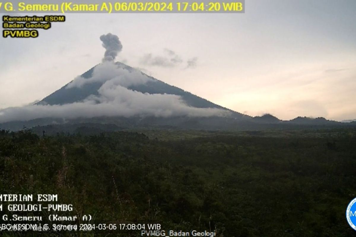 Gunung Semeru erupsi dengan  tinggi kolom letusan sekitar 800 meter