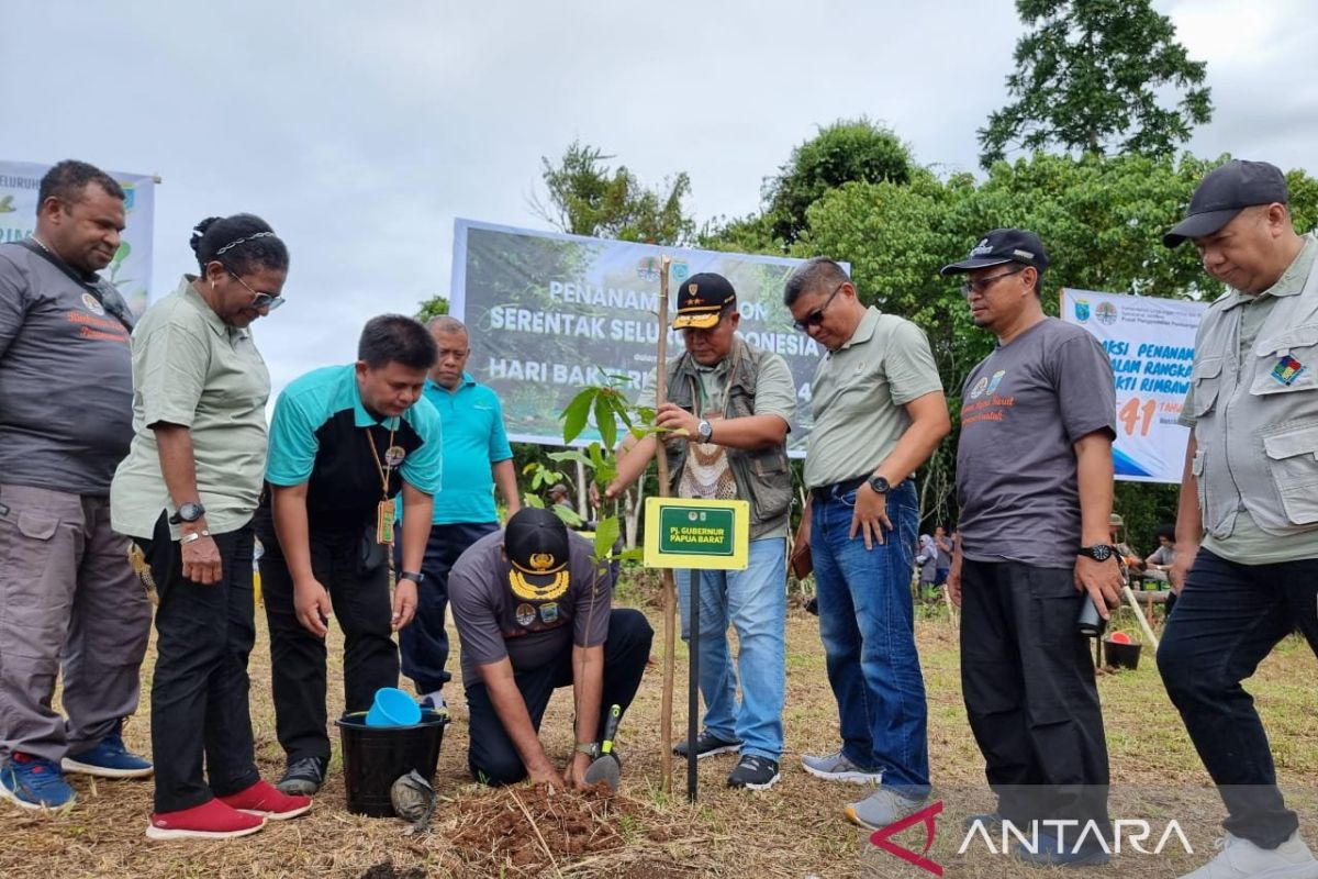 UPT KLHK Papua Barat tanam 200 bibit pohon di Manokwari