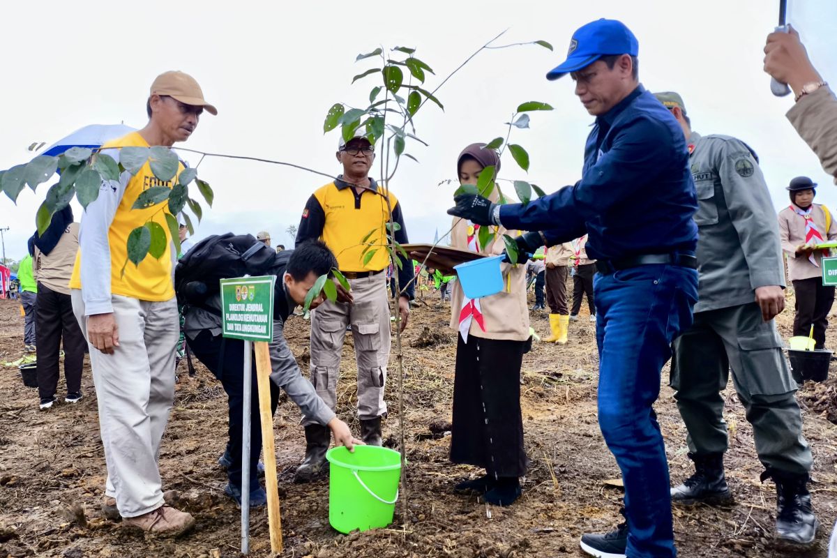 KLHK tanam ribuan pohon untuk pembangunan 560 hektare hutan kota di Tanah Bumbu