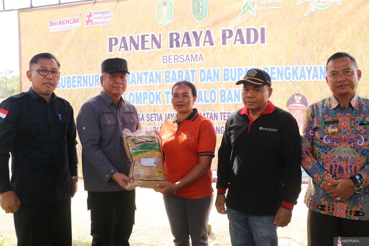 Kalbar tingkatkan produksi pertanian dengan intensifikasi lahan tidur