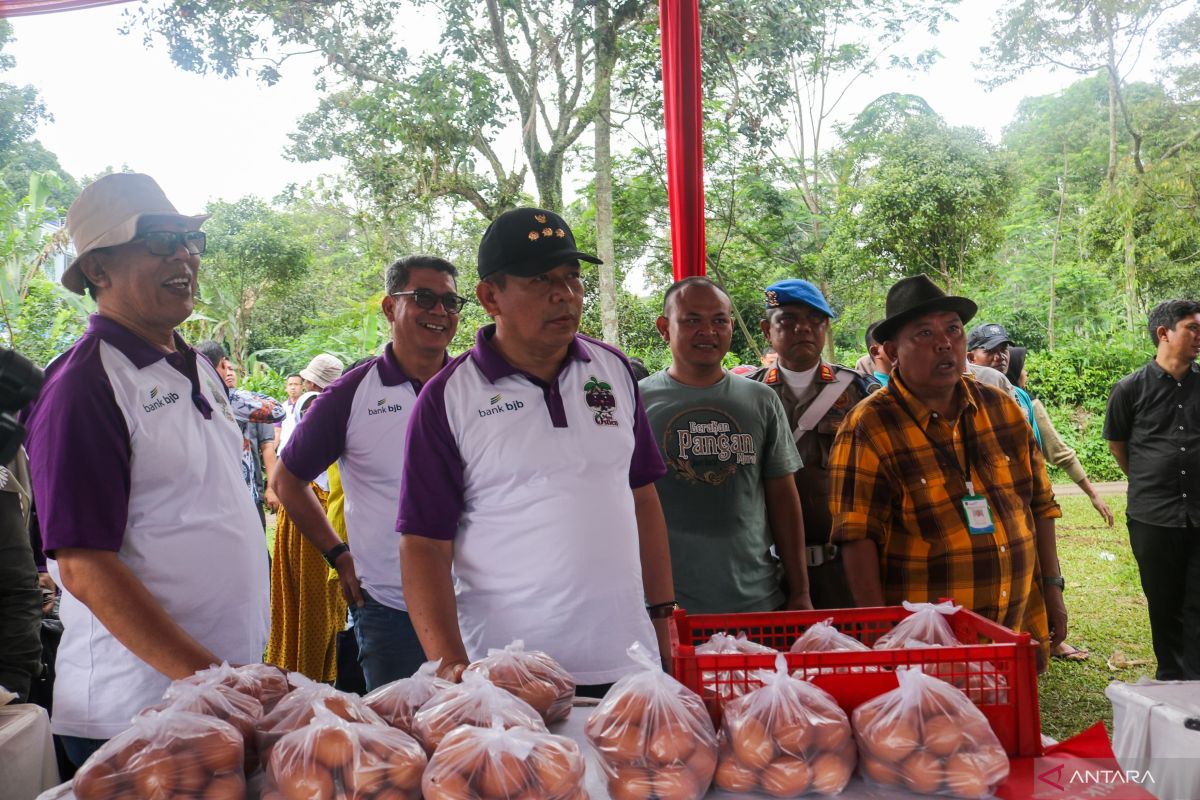 Pemkab Purwakarta rutinkan gerakan pangan murah selama Ramadhan