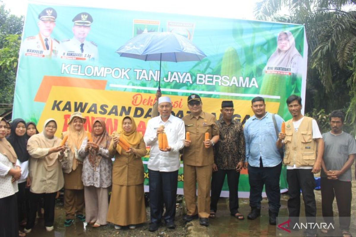 Pasaman Barat peroleh bantuan benih jagung untuk 10 ribu hektare