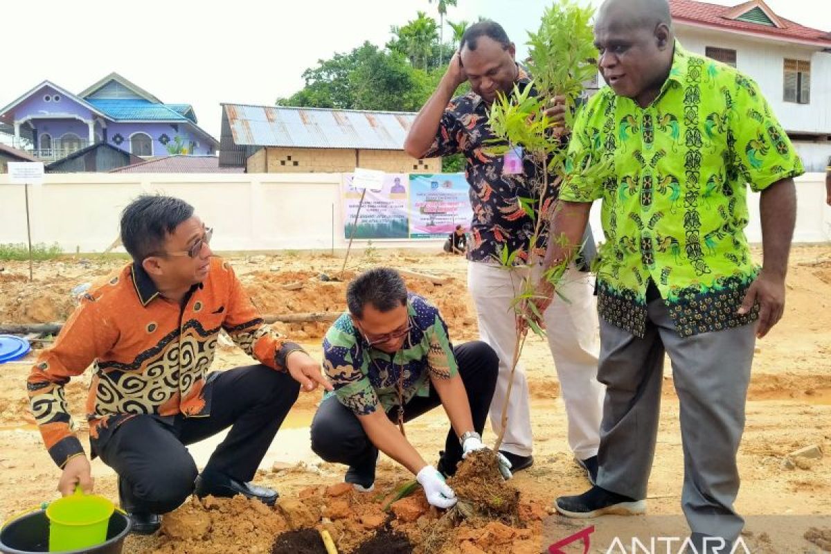 PBD tanam pohon endemik Papua antisipasi pemanasan iklim