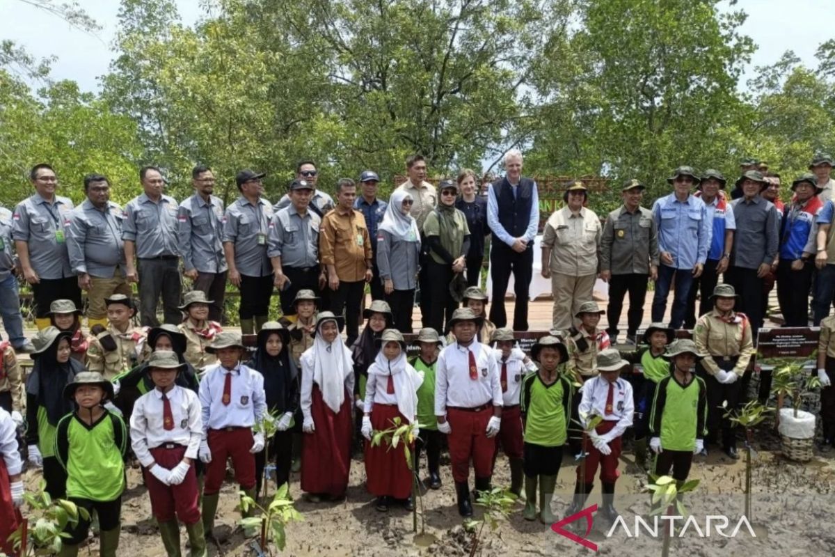 Menteri LHK pimpin tanam pohon mangrove serentak dari Bengkalis