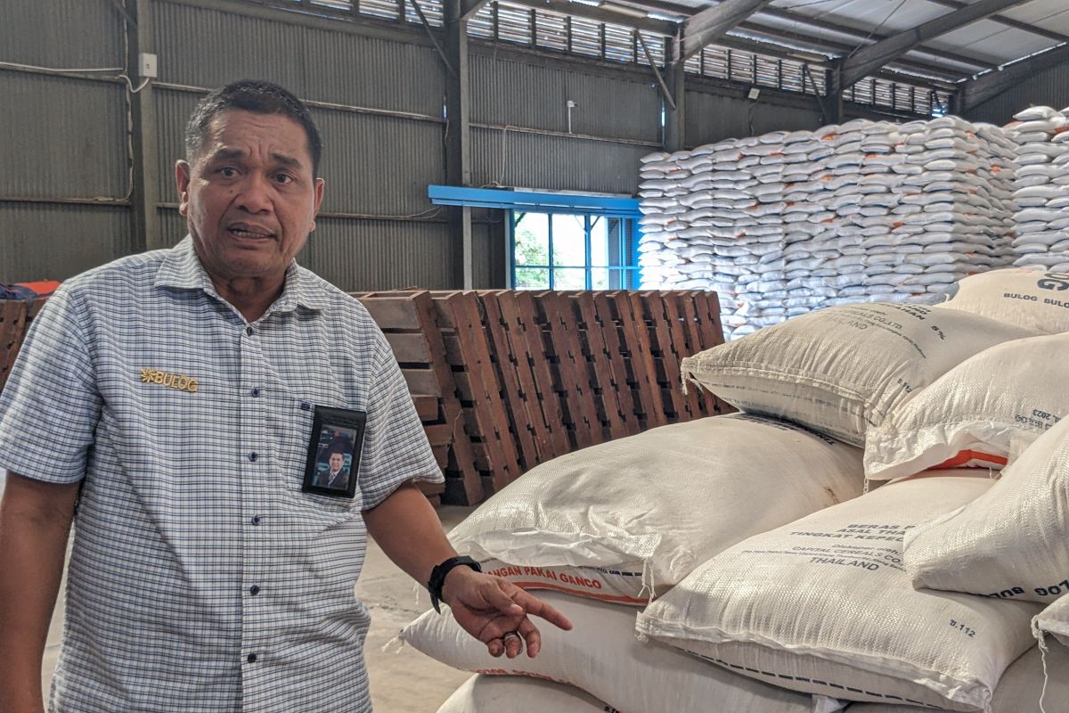 Bulog Sumut serap 11.000 ton  beras dari petani awal Maret