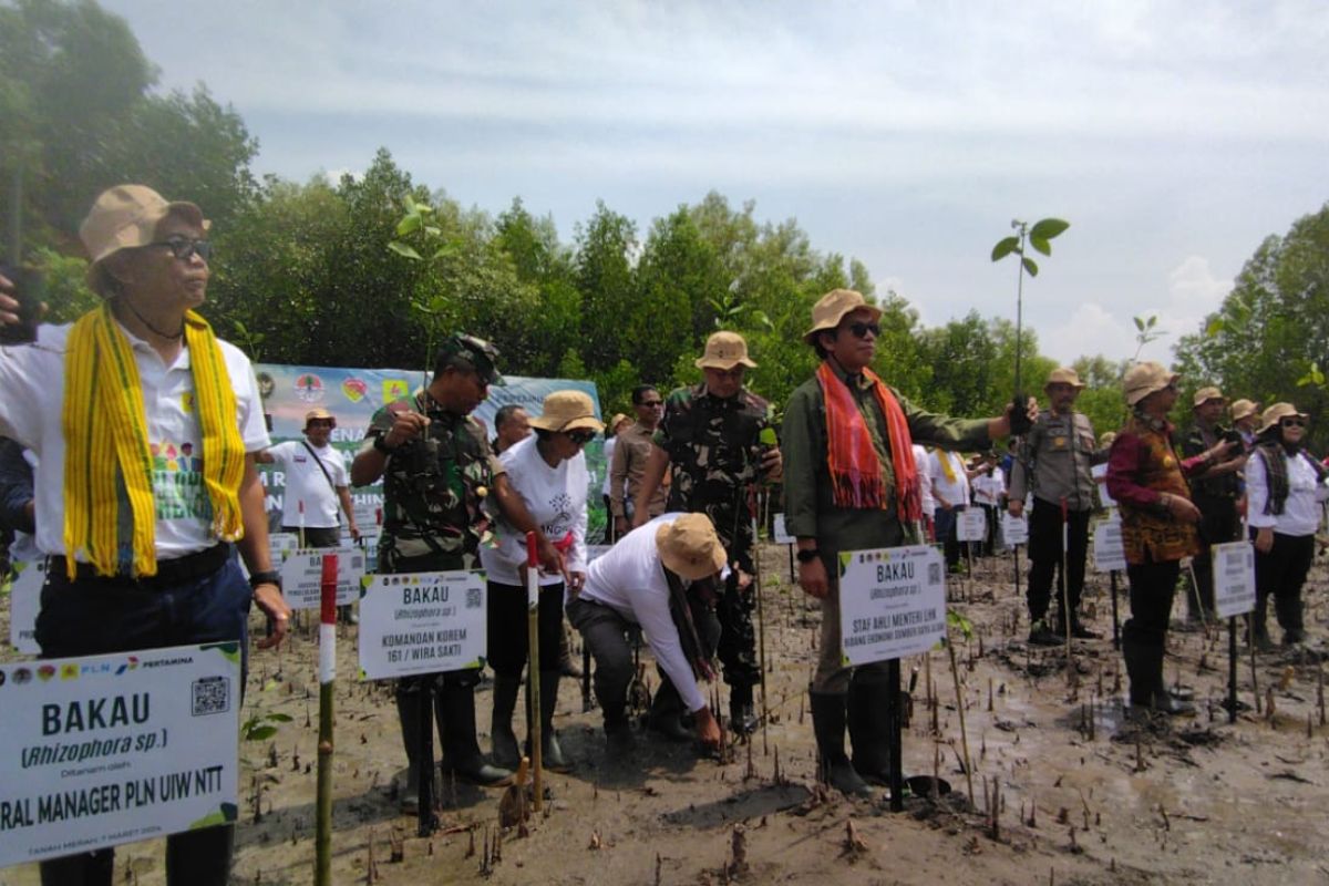 Simultaneous tree planting held to mitigate climate change: minister