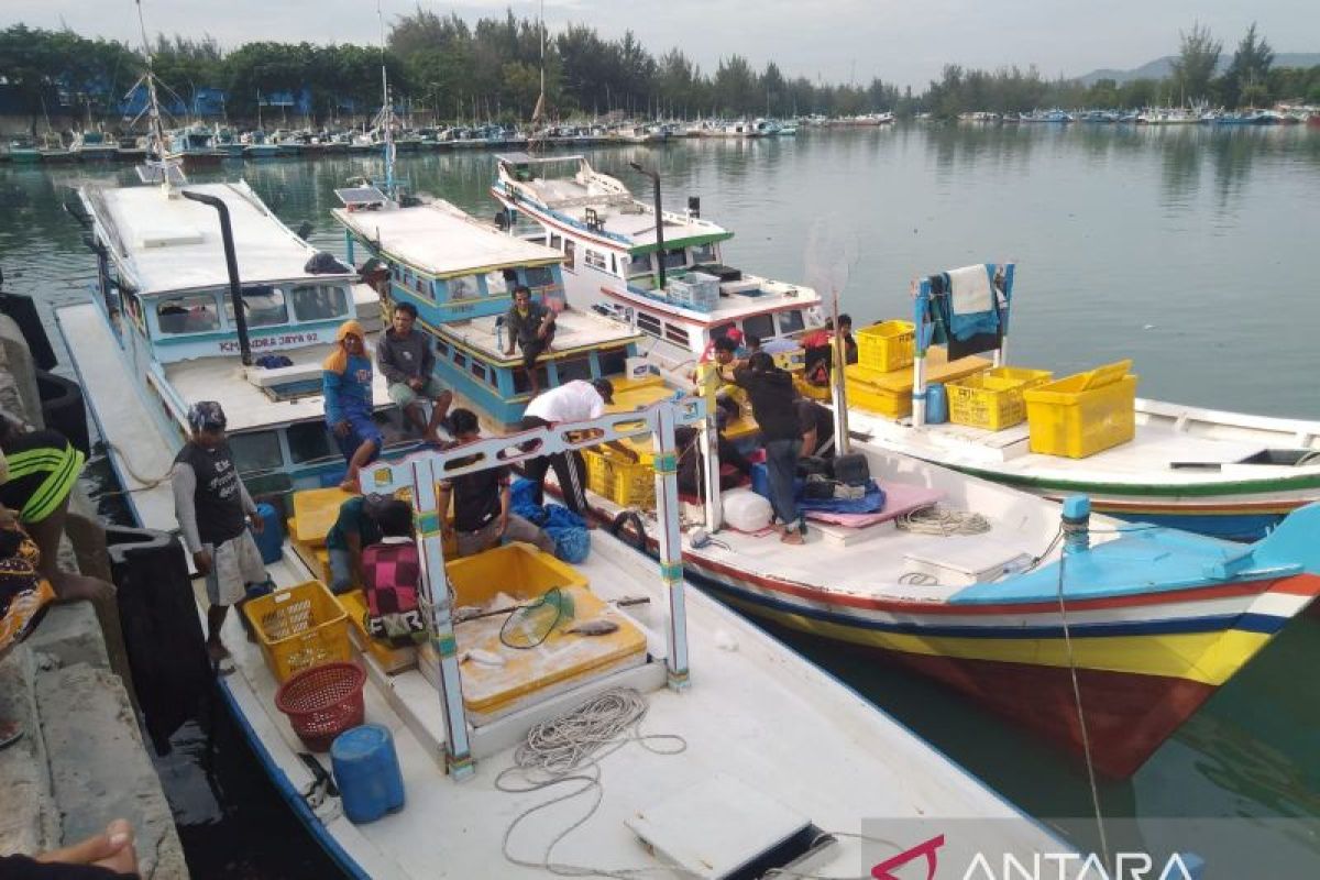 Produksi ikan tangkapan nelayan Sungailiat capai 283.142 kg