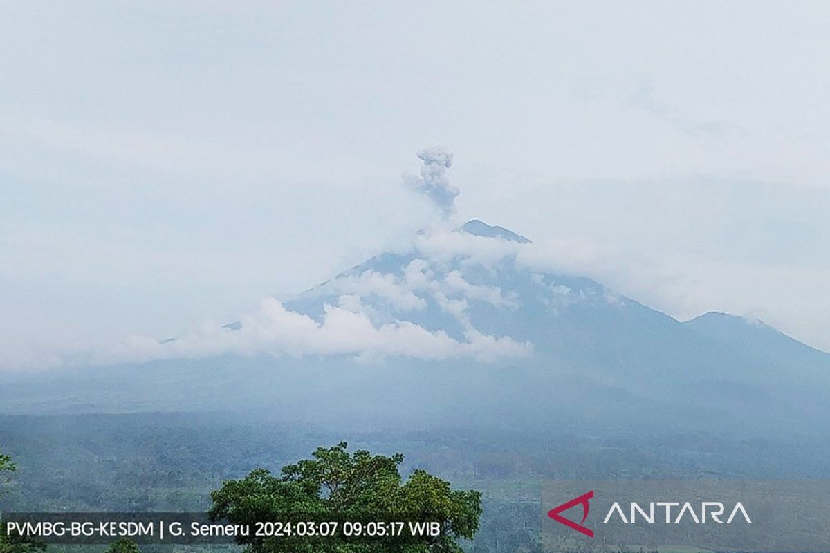 Gunung Semeru meletus, lontarkan abu vulkanik setinggi 1 km