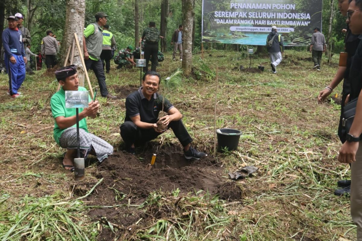 Sekda Bali: Penanaman pohon dukung program perhutanan sosial
