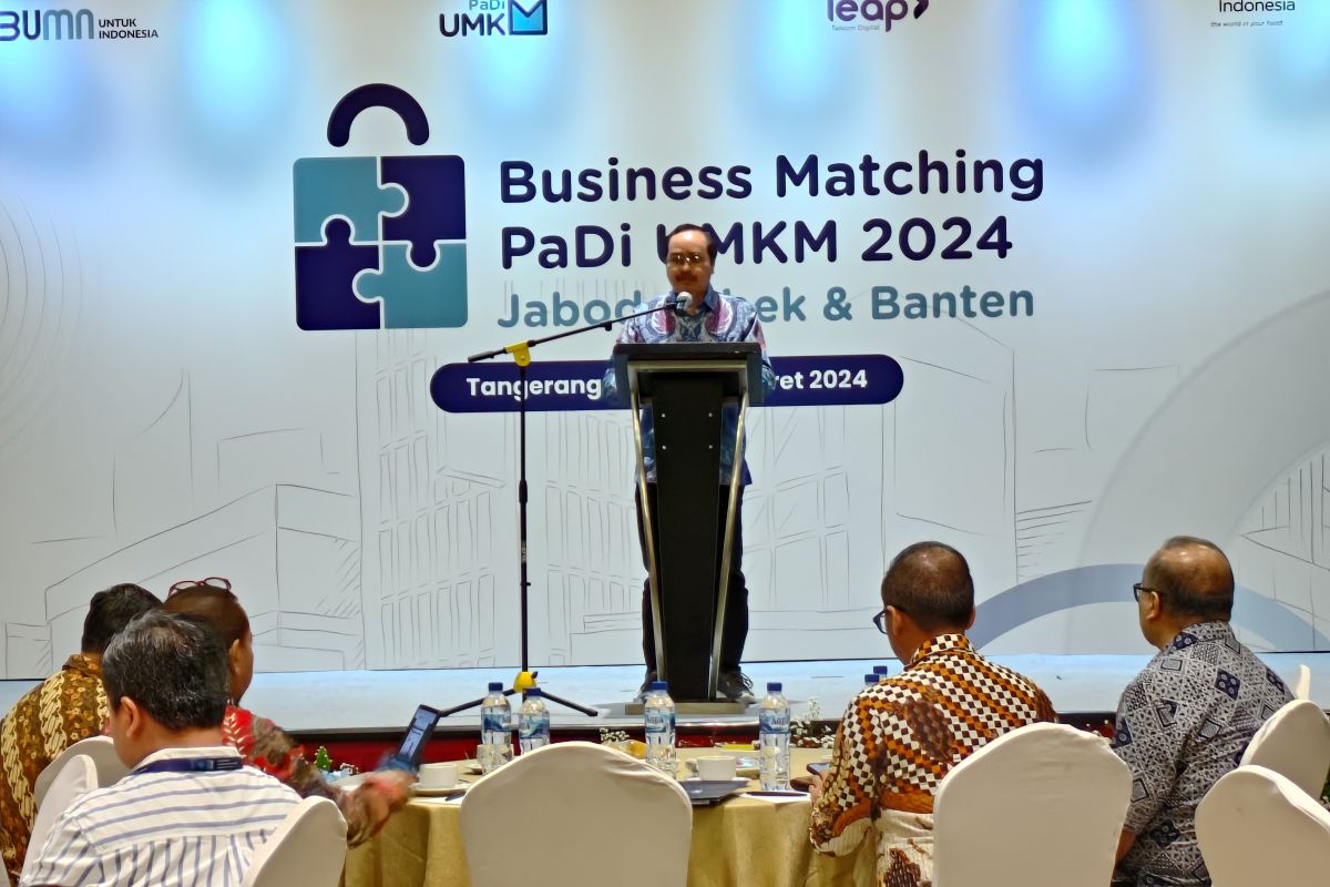 Kementerian BUMN terus perluas pemasaran UMKM lewat platform PaDI