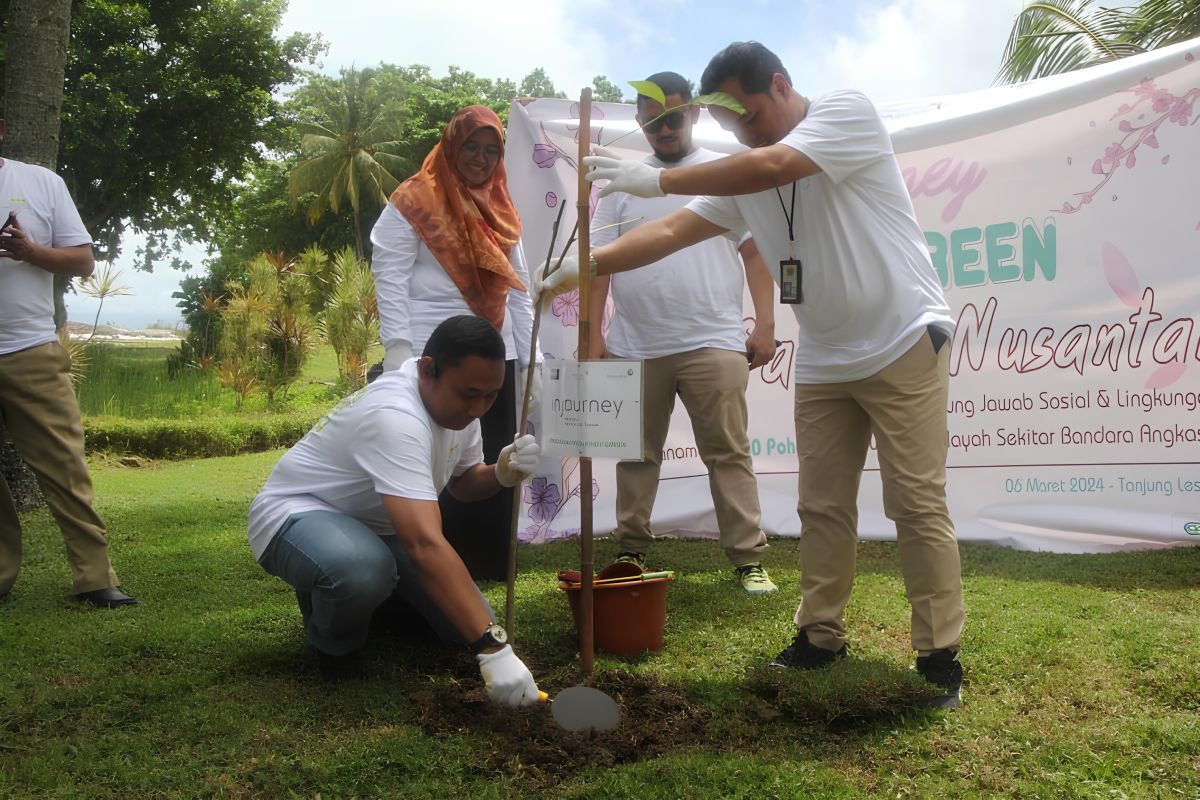 Angkasa Pura II tanam 15 ribu pohon Tabebuya di Tanjung Lesung