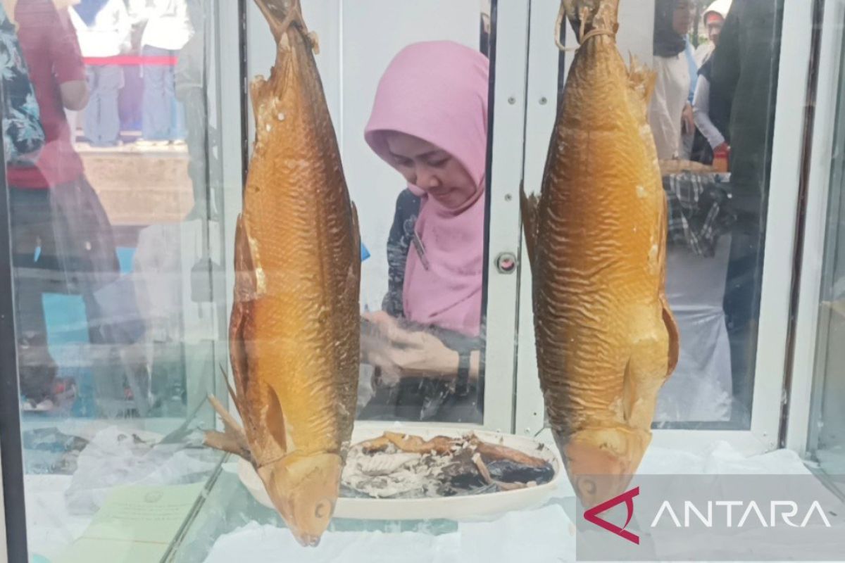 Berbagai ikan segar turut dijual dalam gelaran pasar murah DKP Jatim