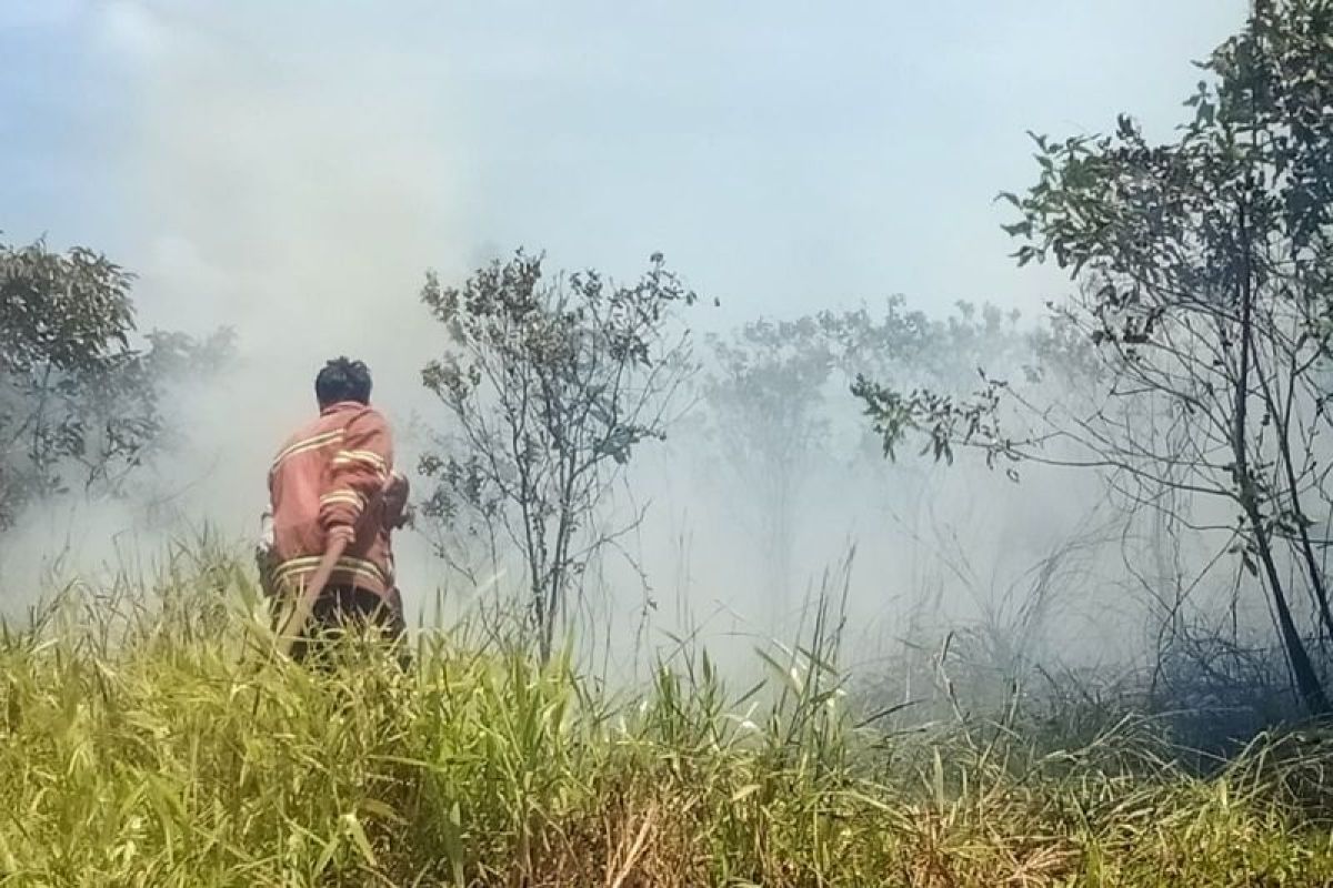Dinas damkar padamkan kebakaran lahan seluas satu hektare di Natuna