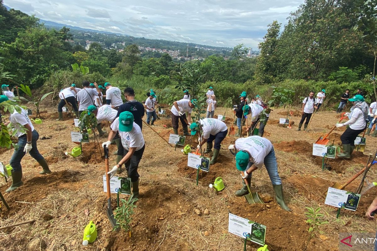 BRIN apresiasi WIKA tanam dan rawat pohon langka endemik