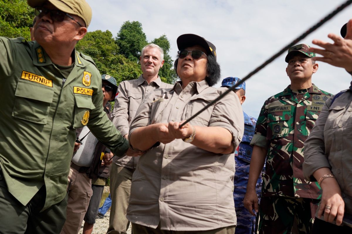 Kembalinya Ambar Goldsmith dan Beru Situtung ke Habitat Alaminya di Taman Nasional Gunung Leuser