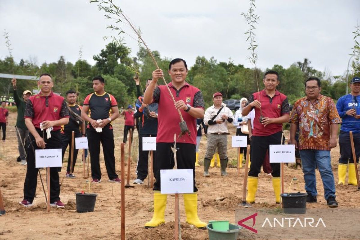 Polda Babel tanam 1.870 tanaman kayu putih dilahan eks tambang di area bandara