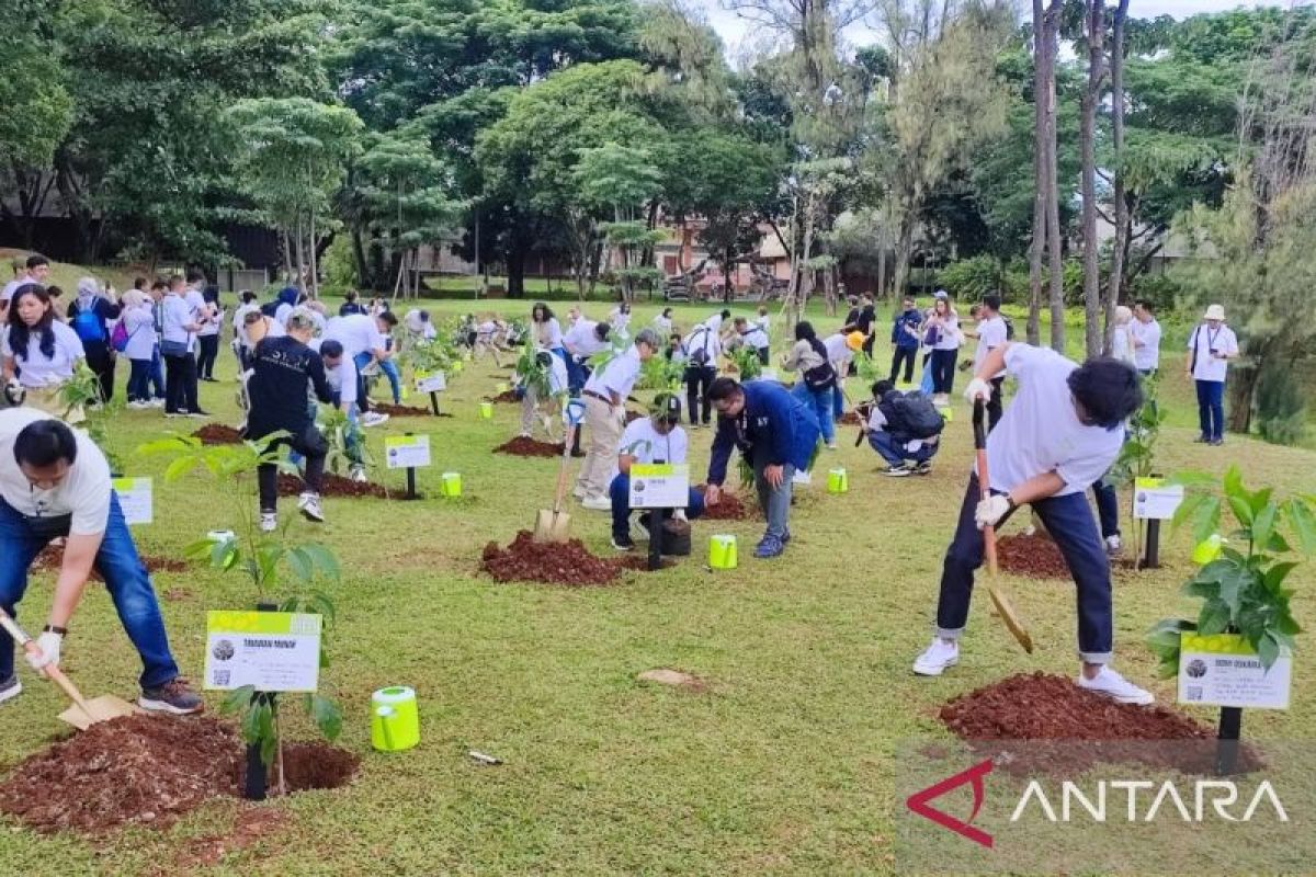 InJourney tanam 15.000 pohon di sejumlah daerah dukung penghijauan