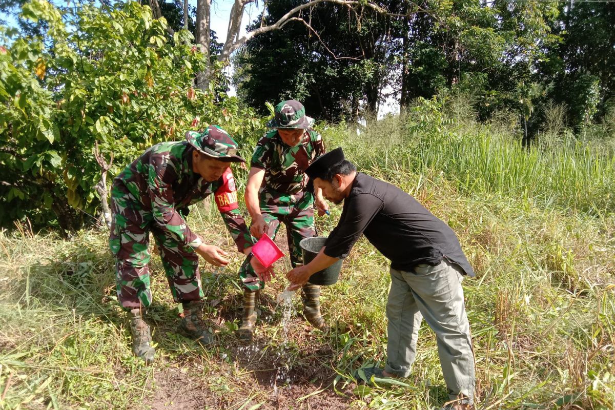 Kodim Polewali Mandar tanam pohon antisipasi dampak bencana