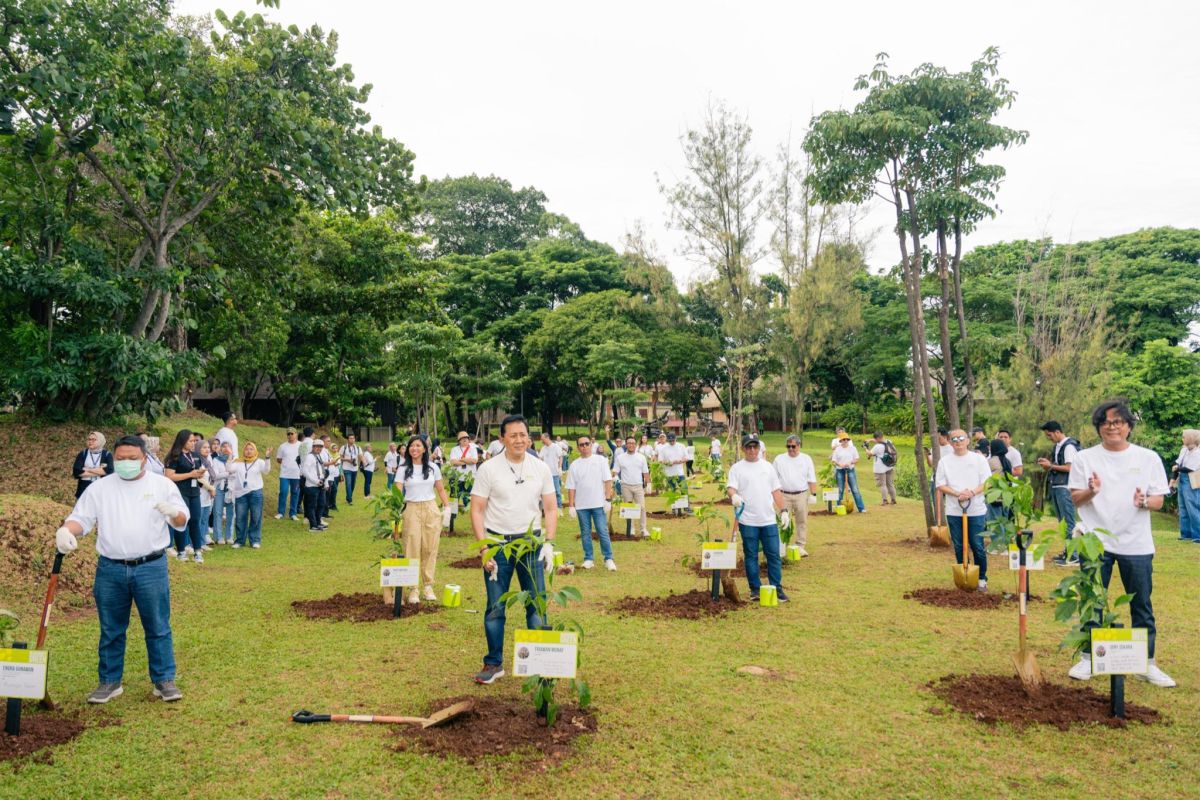 Injourney menanam 15 ribu pohon untuk pariwisata berkelanjutan