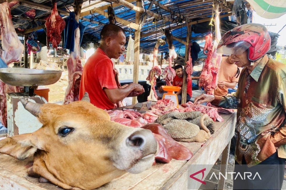 Harga daging sapi di Aceh Barat naik menjelang Ramadan